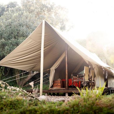 Hotel Quatermain'S 1920'S Safari Camp - Riserva Faunistica di Amakhala Esterno foto