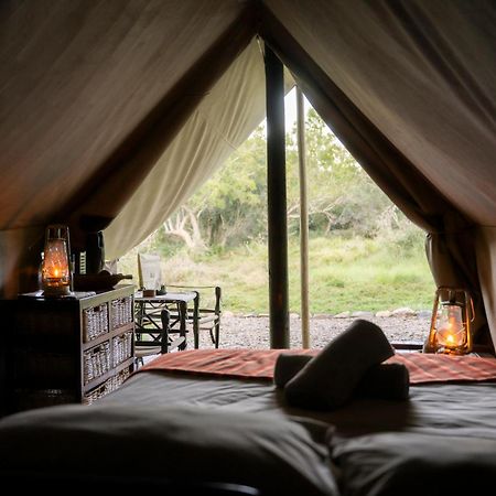 Quatermain'S 1920'S Safari Camp - Riserva Faunistica di Amakhala Esterno foto