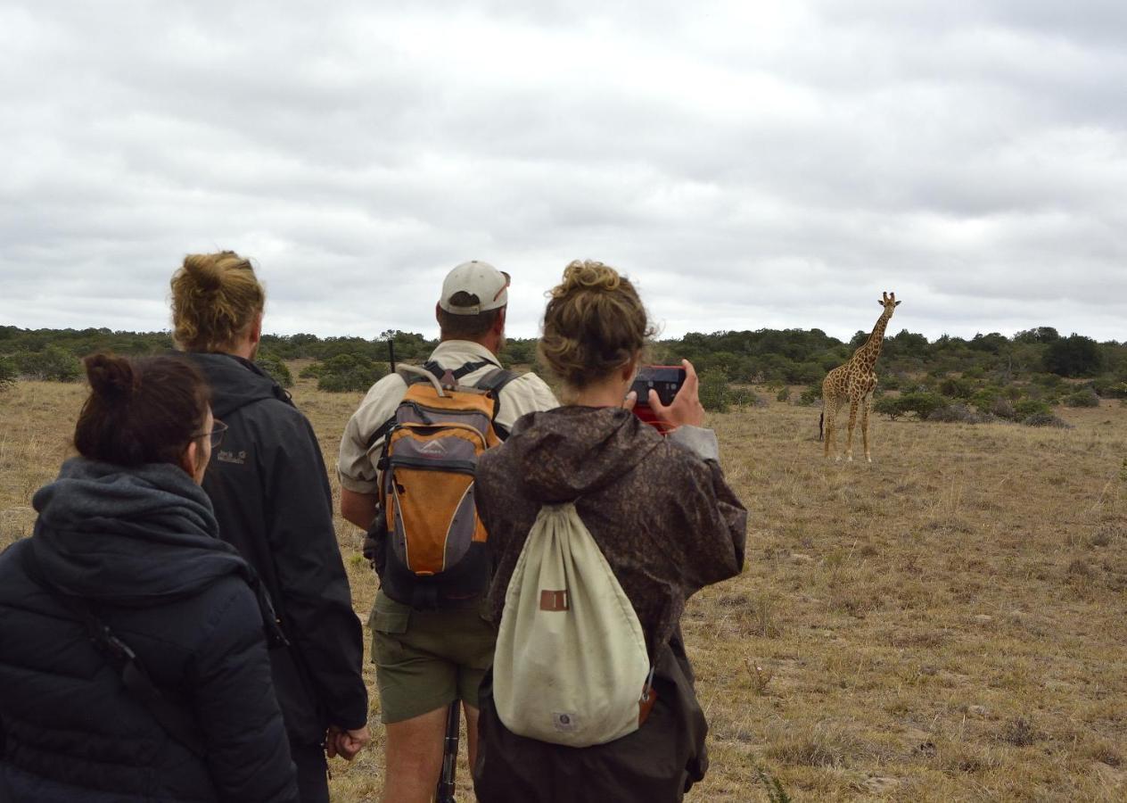 Quatermain'S 1920'S Safari Camp - Riserva Faunistica di Amakhala Esterno foto