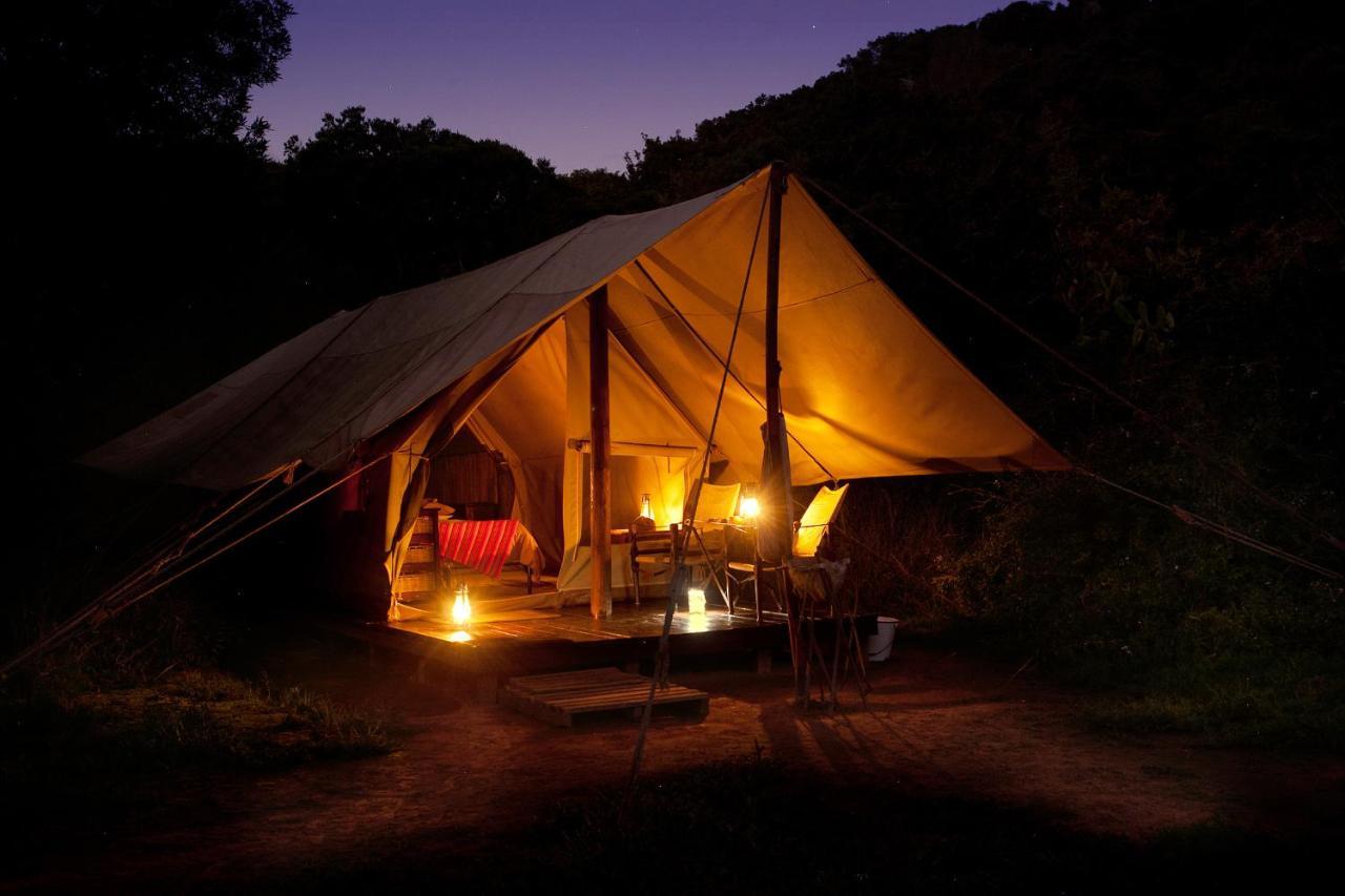 Quatermain'S 1920'S Safari Camp - Riserva Faunistica di Amakhala Esterno foto