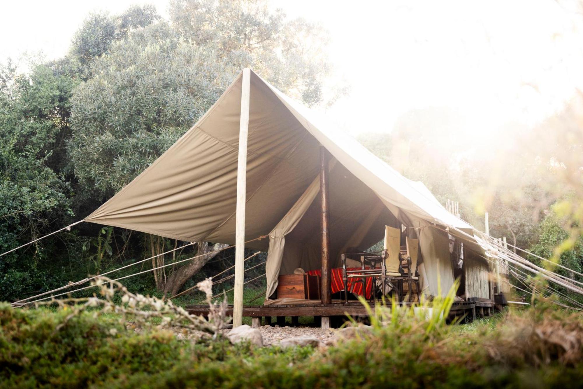 Hotel Quatermain'S 1920'S Safari Camp - Riserva Faunistica di Amakhala Esterno foto