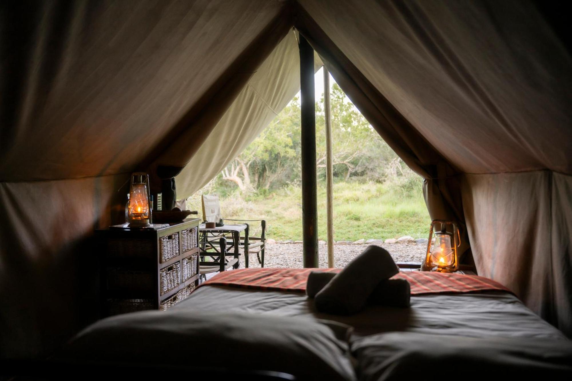 Quatermain'S 1920'S Safari Camp - Riserva Faunistica di Amakhala Esterno foto