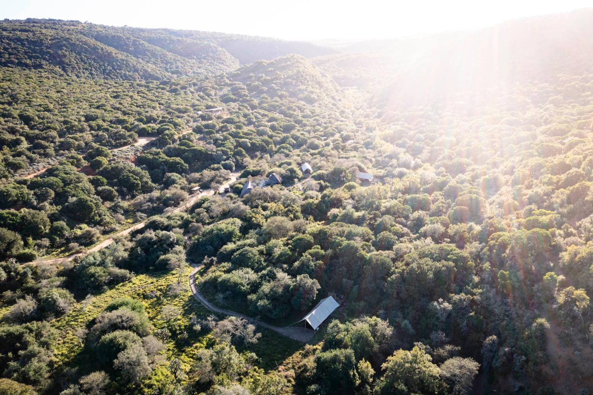 Hotel Quatermain'S 1920'S Safari Camp - Riserva Faunistica di Amakhala Esterno foto