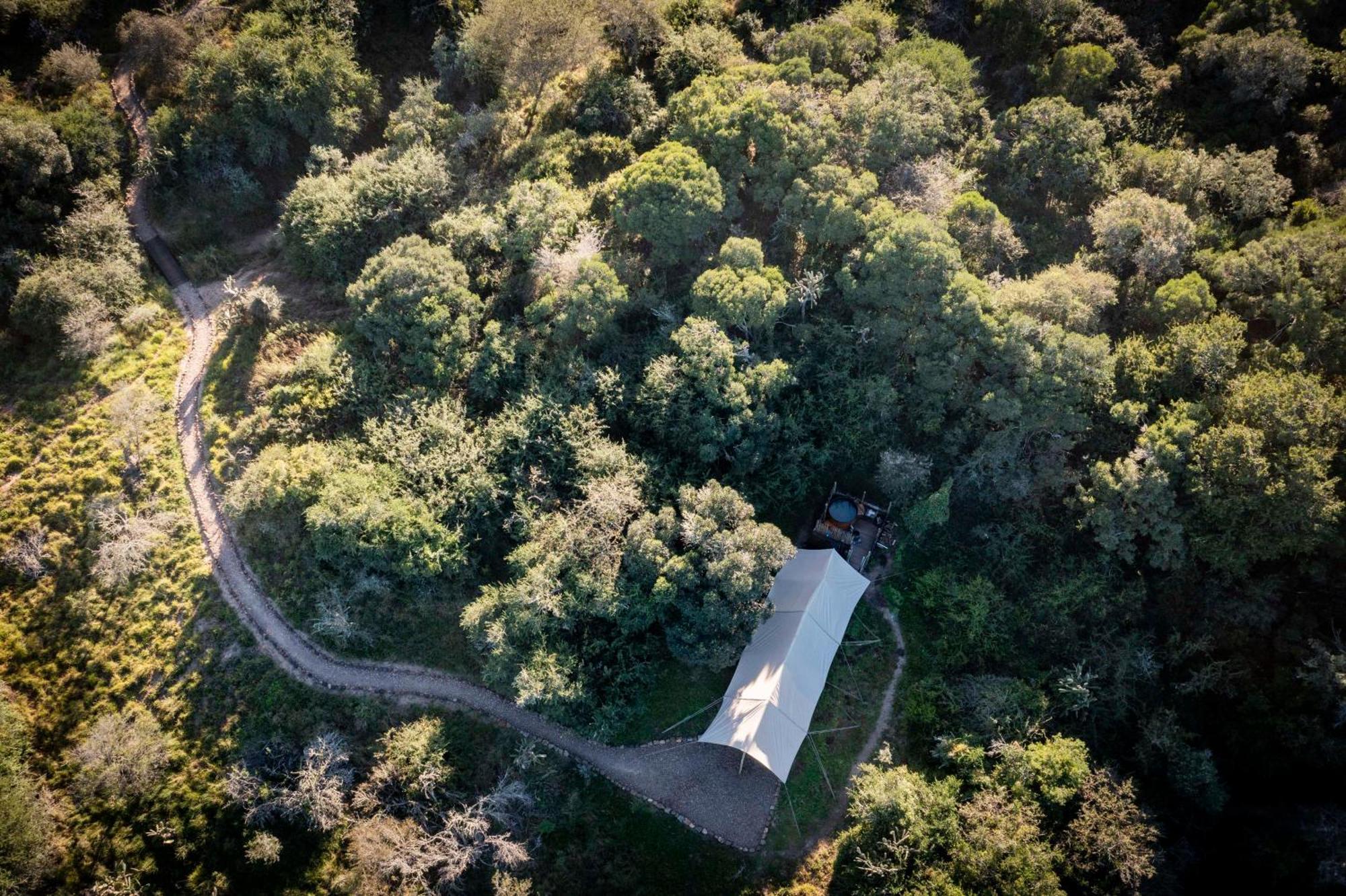 Hotel Quatermain'S 1920'S Safari Camp - Riserva Faunistica di Amakhala Esterno foto