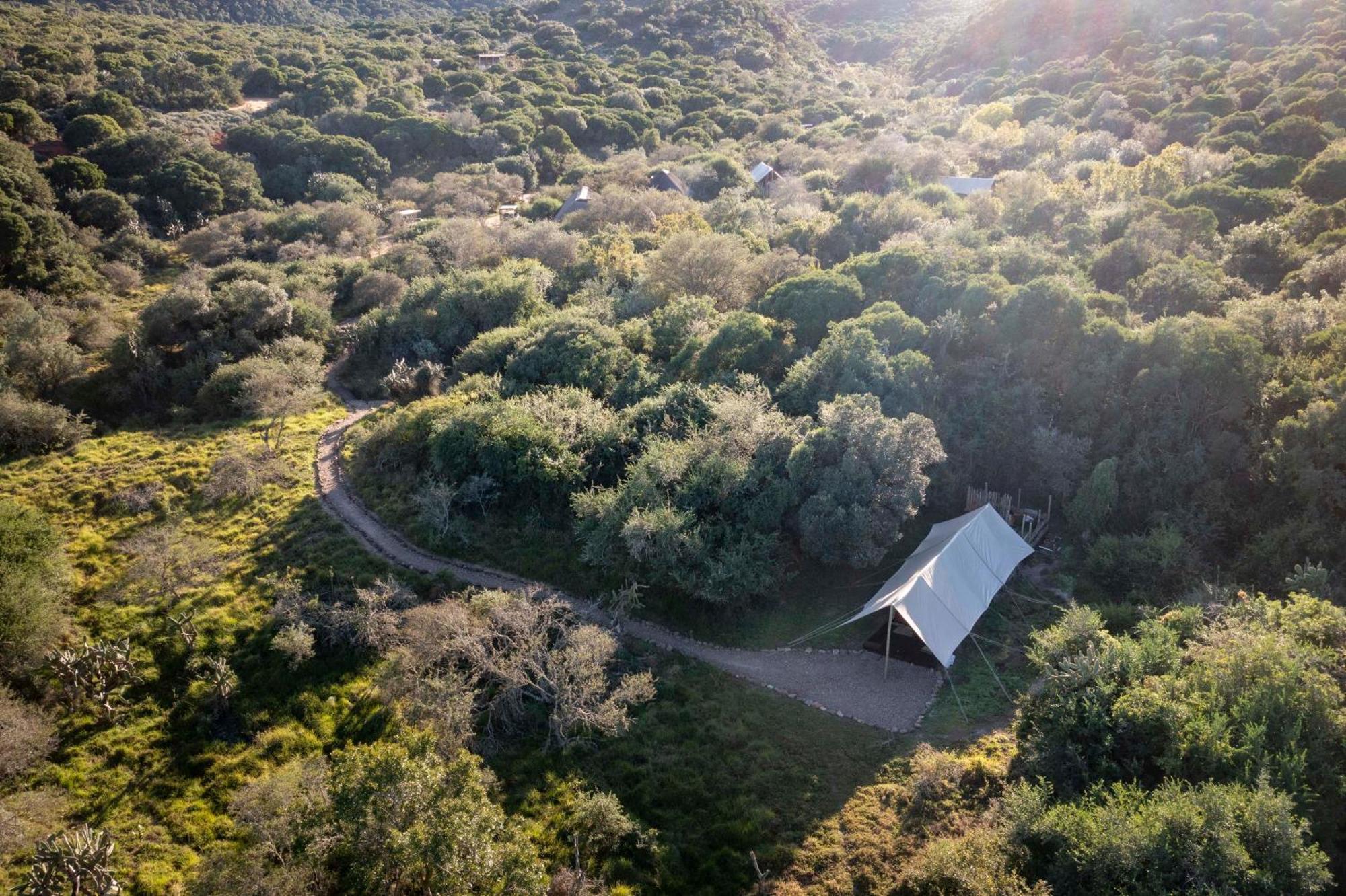 Hotel Quatermain'S 1920'S Safari Camp - Riserva Faunistica di Amakhala Esterno foto