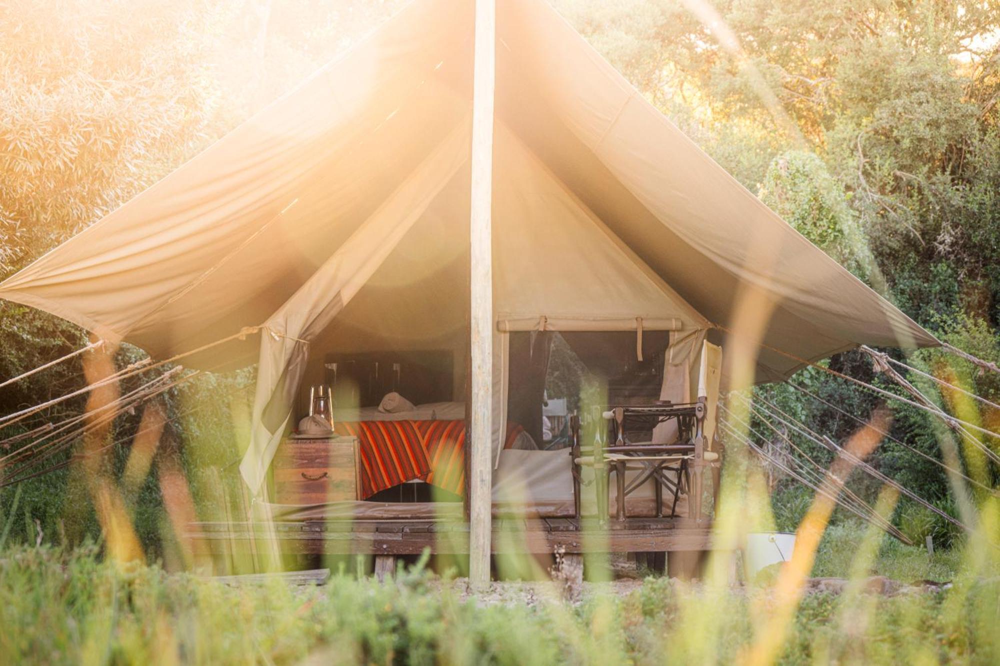 Hotel Quatermain'S 1920'S Safari Camp - Riserva Faunistica di Amakhala Esterno foto