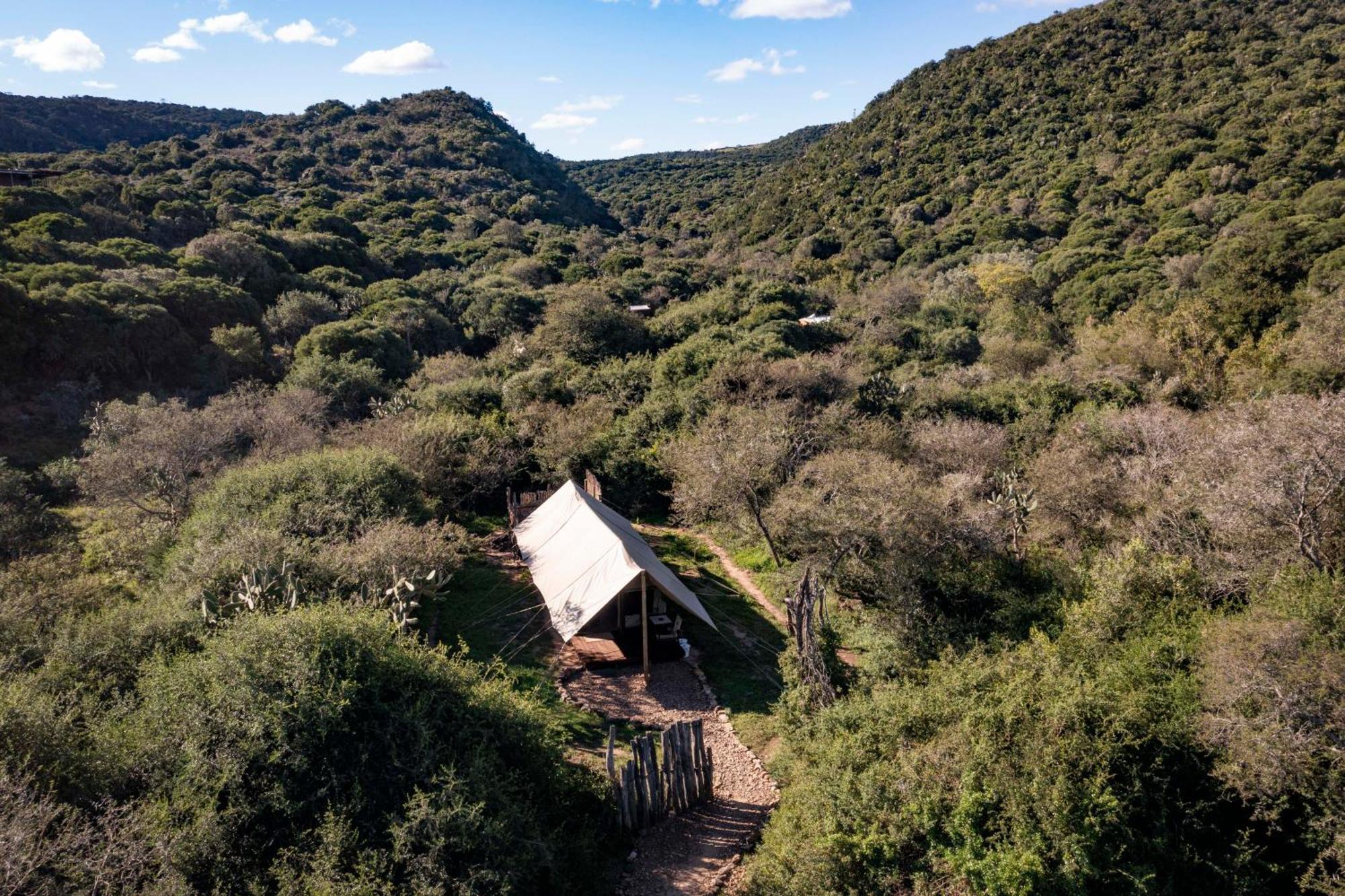 Hotel Quatermain'S 1920'S Safari Camp - Riserva Faunistica di Amakhala Esterno foto