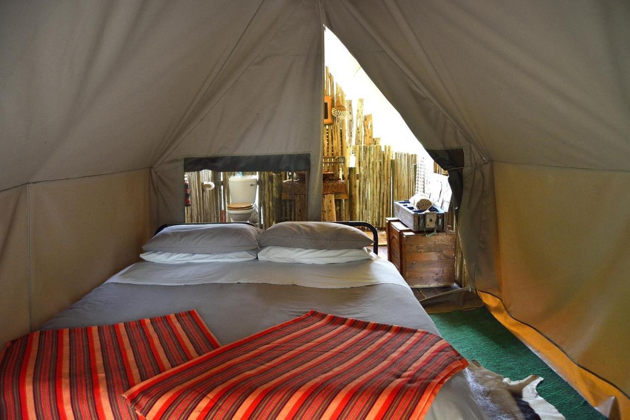 Quatermain'S 1920'S Safari Camp - Riserva Faunistica di Amakhala Esterno foto